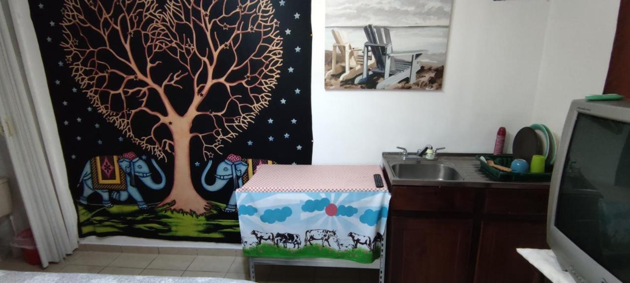 דירות סן חוזה Zorobaru Casa מראה חיצוני תמונה